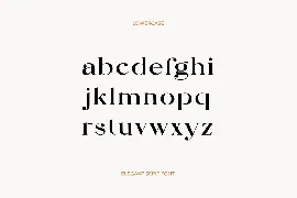 Magic Flavour Elegant Serif Font