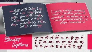 Anthony Writters - A Handwritten Script font