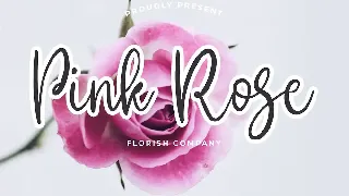 Lincoln Beautiful Calligraphy Font