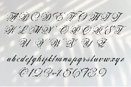 Thei font