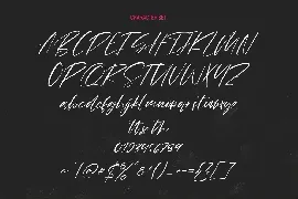 Shades Bookah Script Font