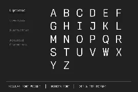 Monospace Font