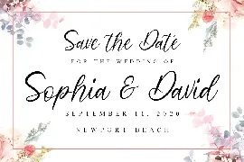 Camellia Beauty Script Font