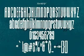 Styxes Font Duo Script Display