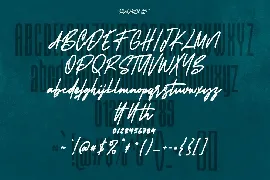 Styxes Font Duo Script Display