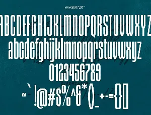 Styxes Font Duo Script Display