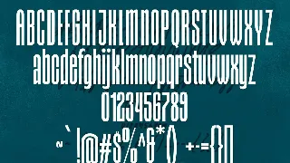 Styxes Font Duo Script Display