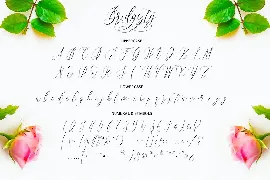 Bridgesty - Modern Calligraphy font