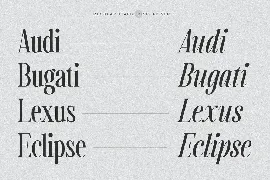 Captures The Waves | Modern Display Serif font