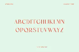 Bohemian Stylish Luxury Serif Font