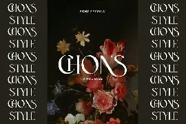 Bohemian Stylish Luxury Serif Font