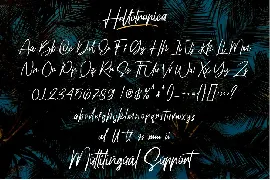 Hellotropica | Handbrushed Font