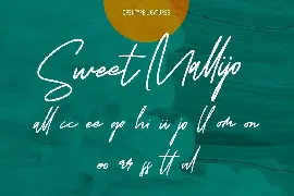 Borillaz Signature Script Font