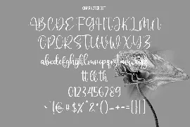 Sallutos Signature Script Font