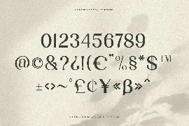 Partake | Modern Serif font