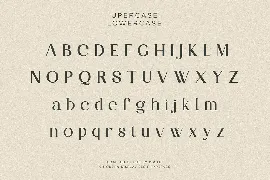 Partake | Modern Serif font