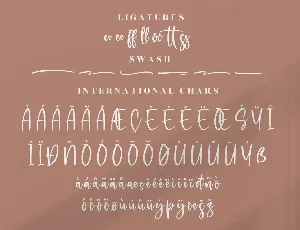 Rollection Modern Handwritten Font