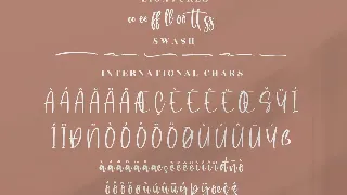 Rollection Modern Handwritten Font