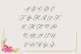 Belflower Script | Modern font