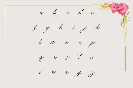 Belflower Script | Modern font