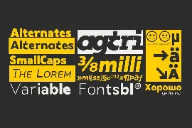 Laire Sans | 40 Font + Variable Font