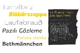 Laire Sans | 40 Font + Variable Font