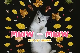 Chimoly Cute Display Font