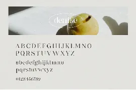 Denike - Stylish Modern Serif font