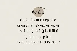 Denike - Stylish Modern Serif font