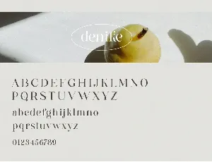 Denike - Stylish Modern Serif font