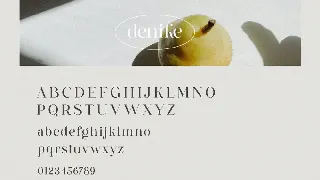 Denike - Stylish Modern Serif font