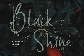 Black Shine Handwritten Script Brush Font