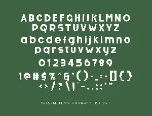 Charmeleon - Sans Serif Font