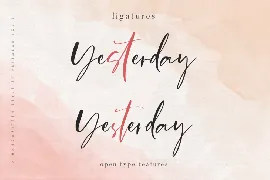 Stylish Yesterday | A Luxe Chic Font