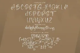 Registeria Modern Signature Font