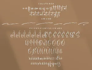 Registeria Modern Signature Font