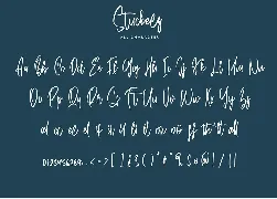 Stuckeez - Signature Font