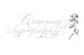 Graceful font