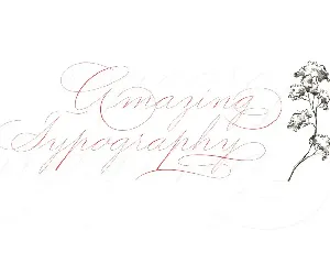 Graceful font