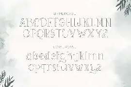 Sorreal â€“ Outline Typeface font