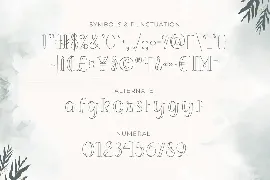 Sorreal â€“ Outline Typeface font