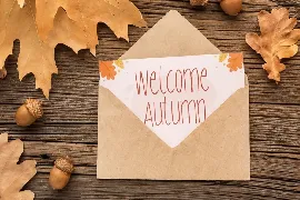 Fall Season â€“ Handwritten Font