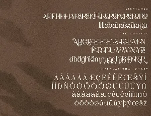 Balerga Modern Serif Font