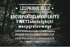 Leophard - Font Family