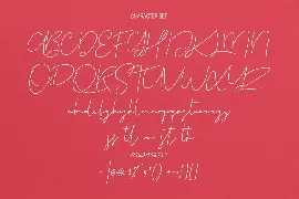 Christie Dianna Font