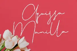 Christie Dianna Font