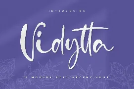 Vidytta font