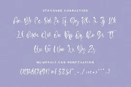 Vidytta font