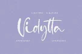 Vidytta font