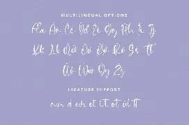 Vidytta font